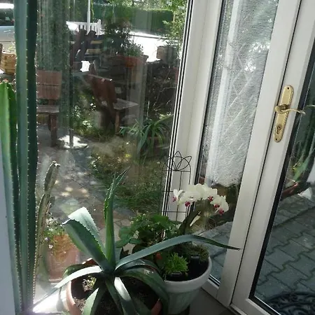 Kwatera Prywatna * Świnoujście (Swinemünde)